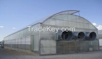 Greenhouse Naturally ventilated NVPH