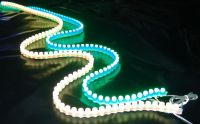 Water proof Great Wall LED Ribbon (strip) light