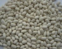 white kidney beans Japanese type