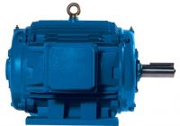 Kiln Duty Electric Motors