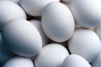 Eggs For Sale Intenational