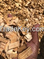 Wood chips from Brasil