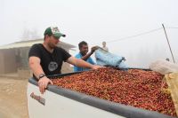 Export Green Coffee Beans | Green Coffee Bean Importer | Green Coffee Beans Buyer | Buy Green Coffee Beans | Green Coffee Bean Wholesaler | Green Coffee Bean Manufacturer | Best Green Coffee Bean Exporter | Low Price Green Coffee Beans | Best Quality Gree