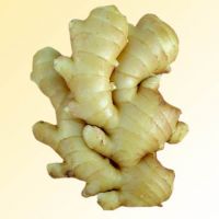 Fresh Ginger/Air-dried Ginger