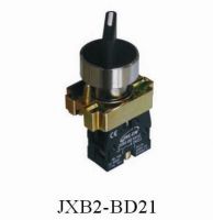 push button switch (selector switch )JXB3-BD21