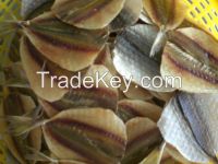 DRIED YELLOW STRIPE TREVALLY FILLET