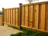 Cedar Fence panels