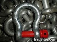 Screw Pin Anchor Shackle G209 US Type