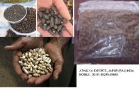 JATROPHA/NEEM/COTTON SEEDS/COIR FIBER