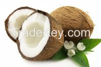 https://fr.tradekey.com/product_view/Coconut-Fiber-7427877.html