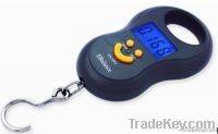Electric Hanging Scale