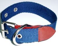 dog collars