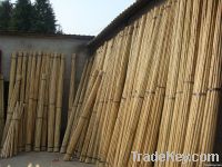 Bamboo poles