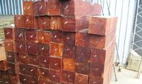 TROPICAL HARDWOODS ON BLOCKS