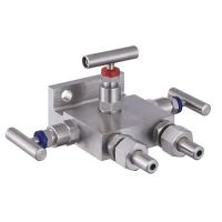 manifold valve, insrumentation manifold