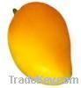 https://www.tradekey.com/product_view/Edible-Salt-Salt-Lamps-Rice-Potatoes-Onion-Kinno-mandarins-3253741.html