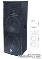 stage speaker