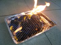 disposable BBQ grills