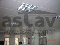 https://jp.tradekey.com/product_view/Astav-Clip-in-Ceilings-745362.html