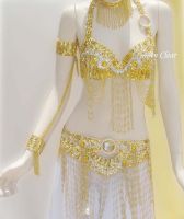 Belly Dance Costumes (No. 39666)