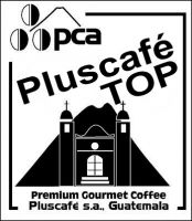 PLUSCAFE TOP