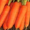 Carrots