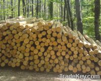 firewood