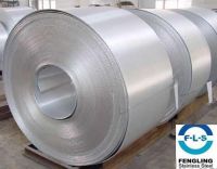 https://fr.tradekey.com/product_view/Cold-Rolled-Stainless-Steel-Coil-919038.html
