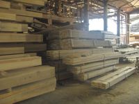 timberand piles