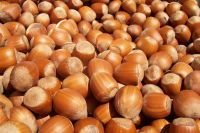 Hazelnut shell