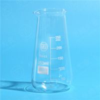 Glass Beaker (conical)
