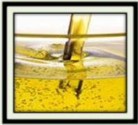 Sunflower Oil