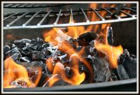 Hardwood Charcoal