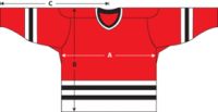 Ice Hockey Jersey And Socks, Ski Pole Stripes,