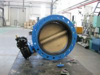 Marine double flange butterfly valve