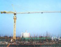 QTZ30 tower crane+COMPETITIVE PRICE