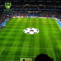 Artificial Grass for Football Synthetic Lawn Carpet Mat Outdoor Football Sport Soccer