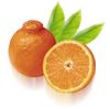 Tangerine Group