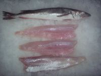 MERLUZA  FILETES  IQF - HG Y  HGT