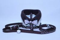 Pet accessories - Harness/Leash