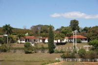 Sale Farm of Coffee and Citrus - with production located in MG Brasil