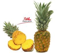 Golden Sweet Pineapples (MD2)