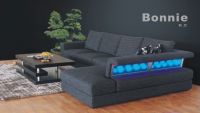 fabric sofa---Bonnie