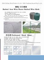 Perforated Metal Sheet