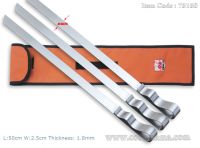 Stainless Steel BBQ Skewers Set