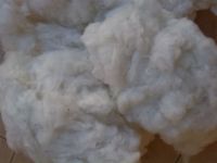 Raw Cotton