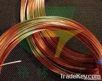 Copper clad steel circle wire/flat wire/strand wire