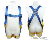 Safety Harness - 1 D Ring, Model# DHQS024