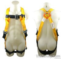 Safety Harness - 3 D Ring, Model# DHQS019