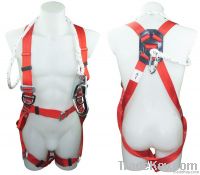 Safety Harness - ...
